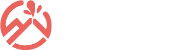 Logo VulcanoPro